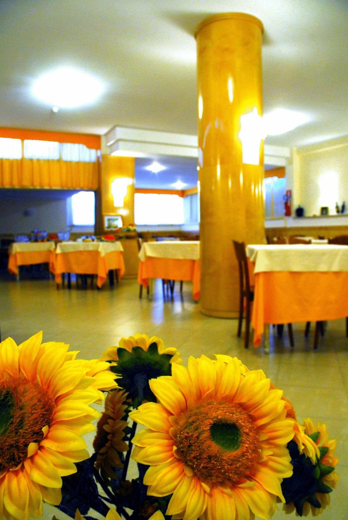 Grazia Sperlonga
